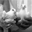 Фотограф на свадьбу